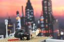 epicjedivssithimg_2792.jpg