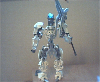 rear_view_of_mata_nui.jpg