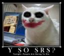 serious-cat-joker.jpg