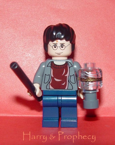 mom_lego_harry.jpg