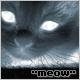 meow2.jpg