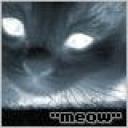 meow2.jpg