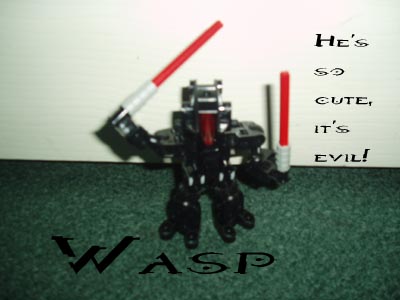 wasp_001.jpg