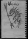 rahkshidrawings.jpg
