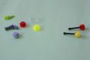 dsc05347.jpg