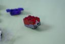 dsc05537.jpg