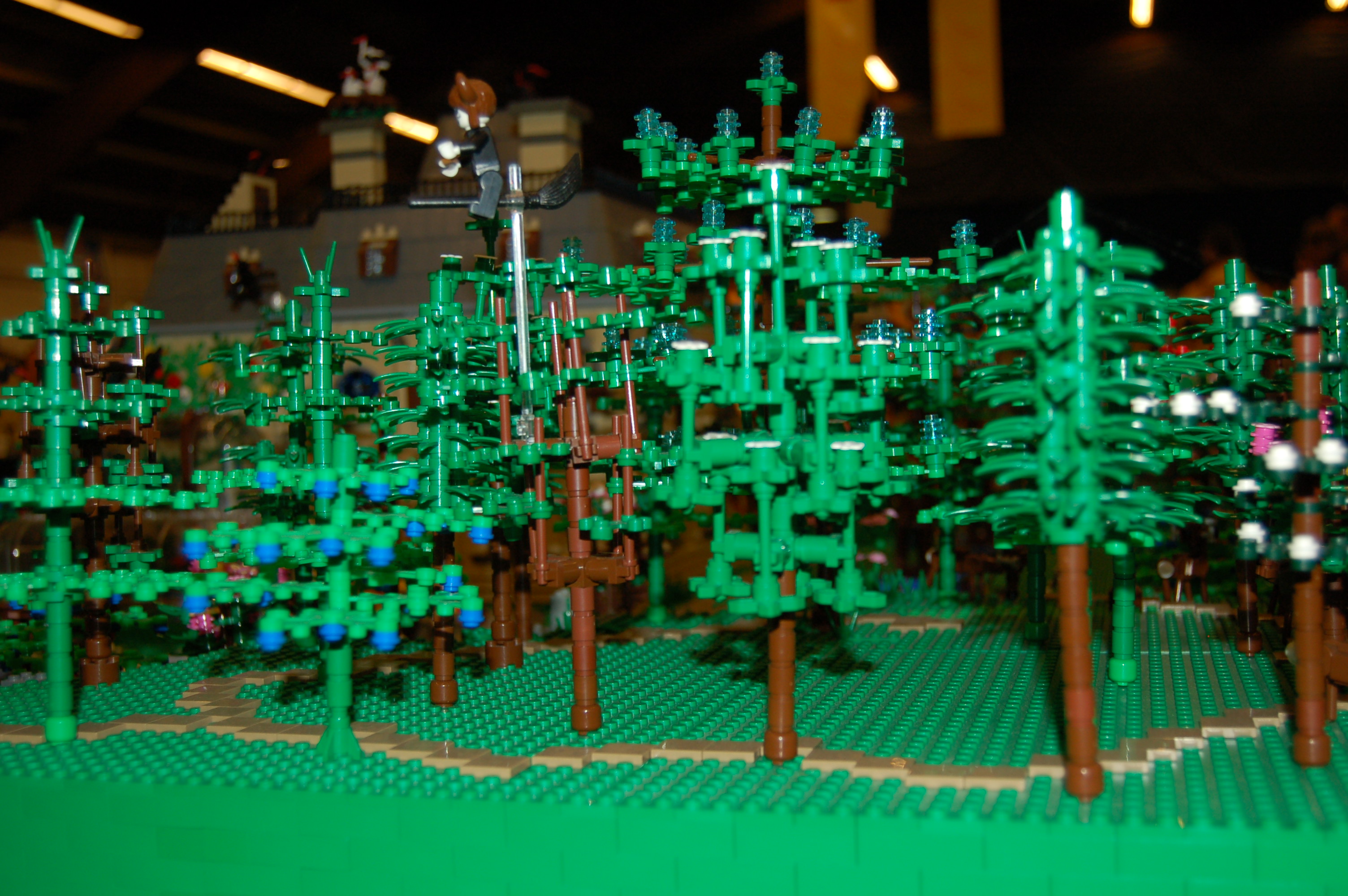 dsc_0038.jpg