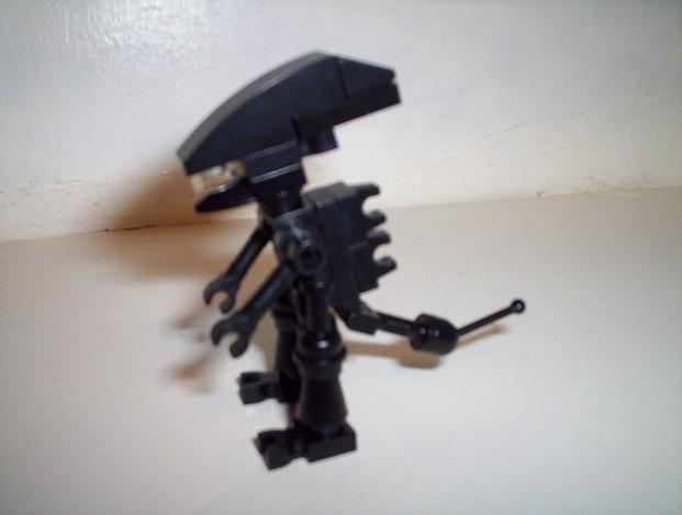 s100_5501.jpg