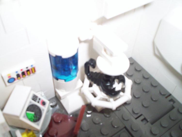 100_5095.jpg