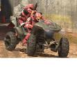 mongoose_ride.jpg