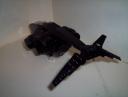 100_3760.jpg