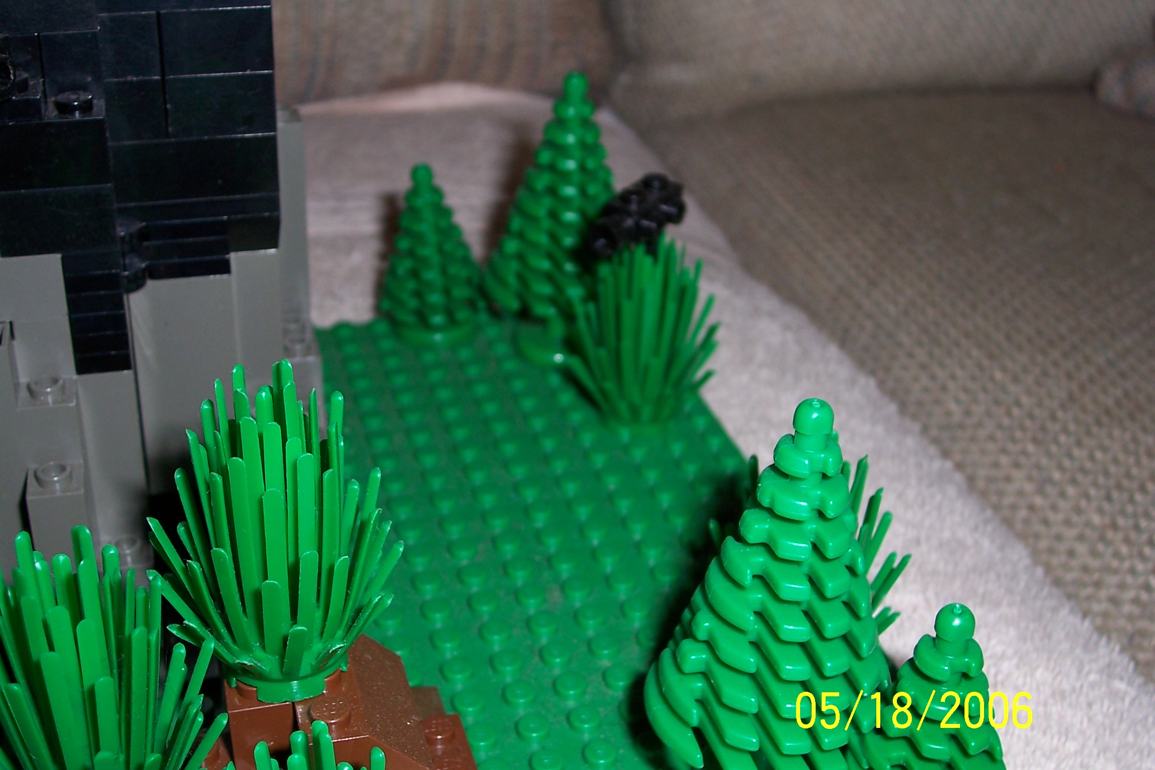 100_0426.jpg