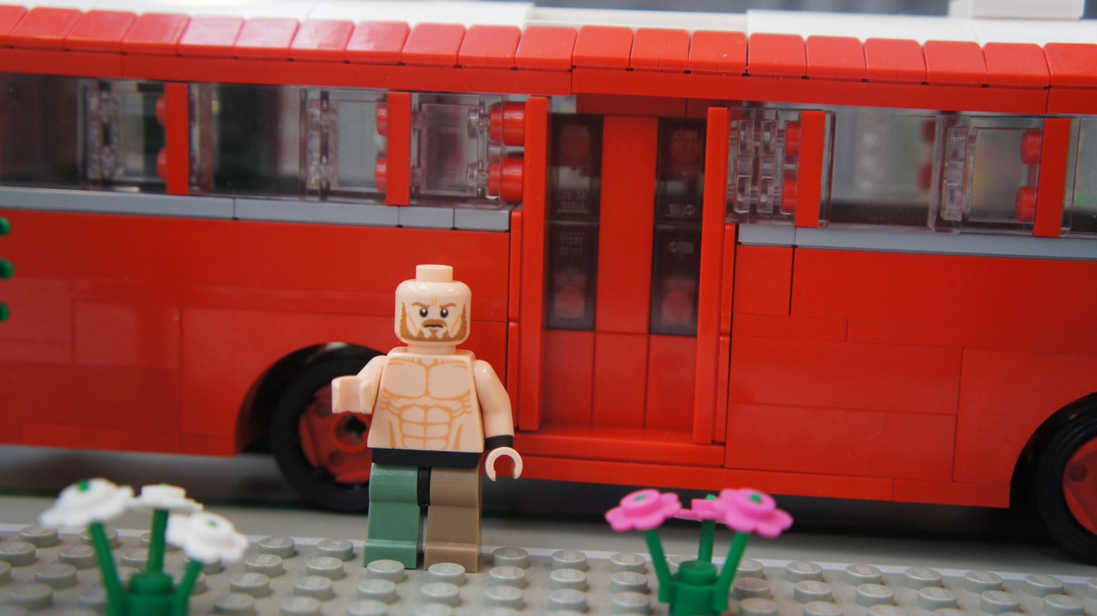 dsc05817.jpg