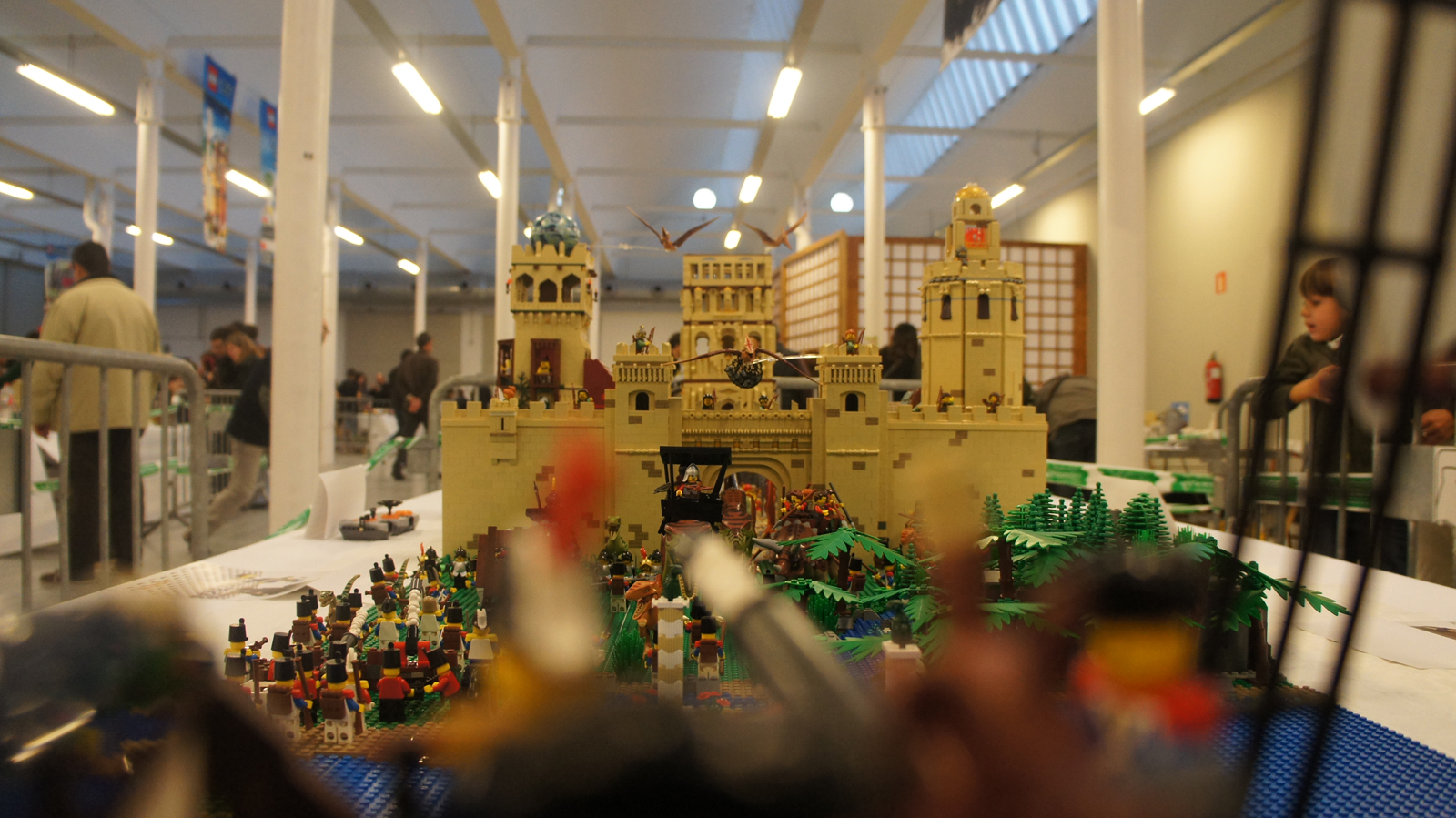 dsc06088.jpg