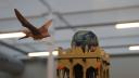 dsc05855.jpg