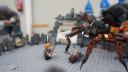 dsc05783.jpg