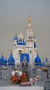 dsc06178.jpg