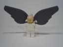 z6_angel.jpg