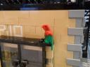 12_perico-the_pet.jpg