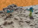 martians..jpg