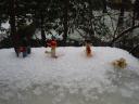 Winter-Solstice-2009