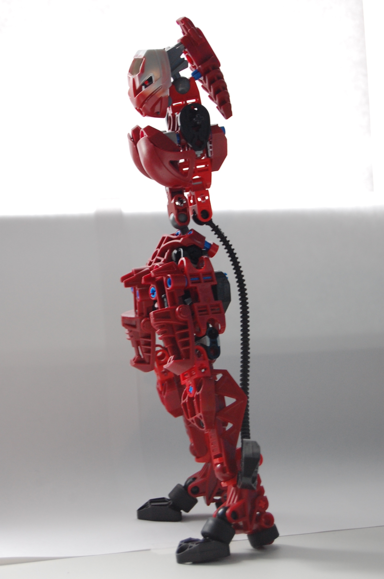 dsc_0703.jpg