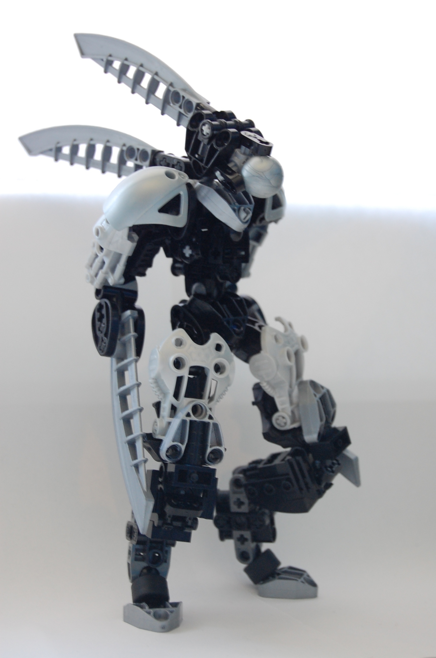 dsc_0748.jpg