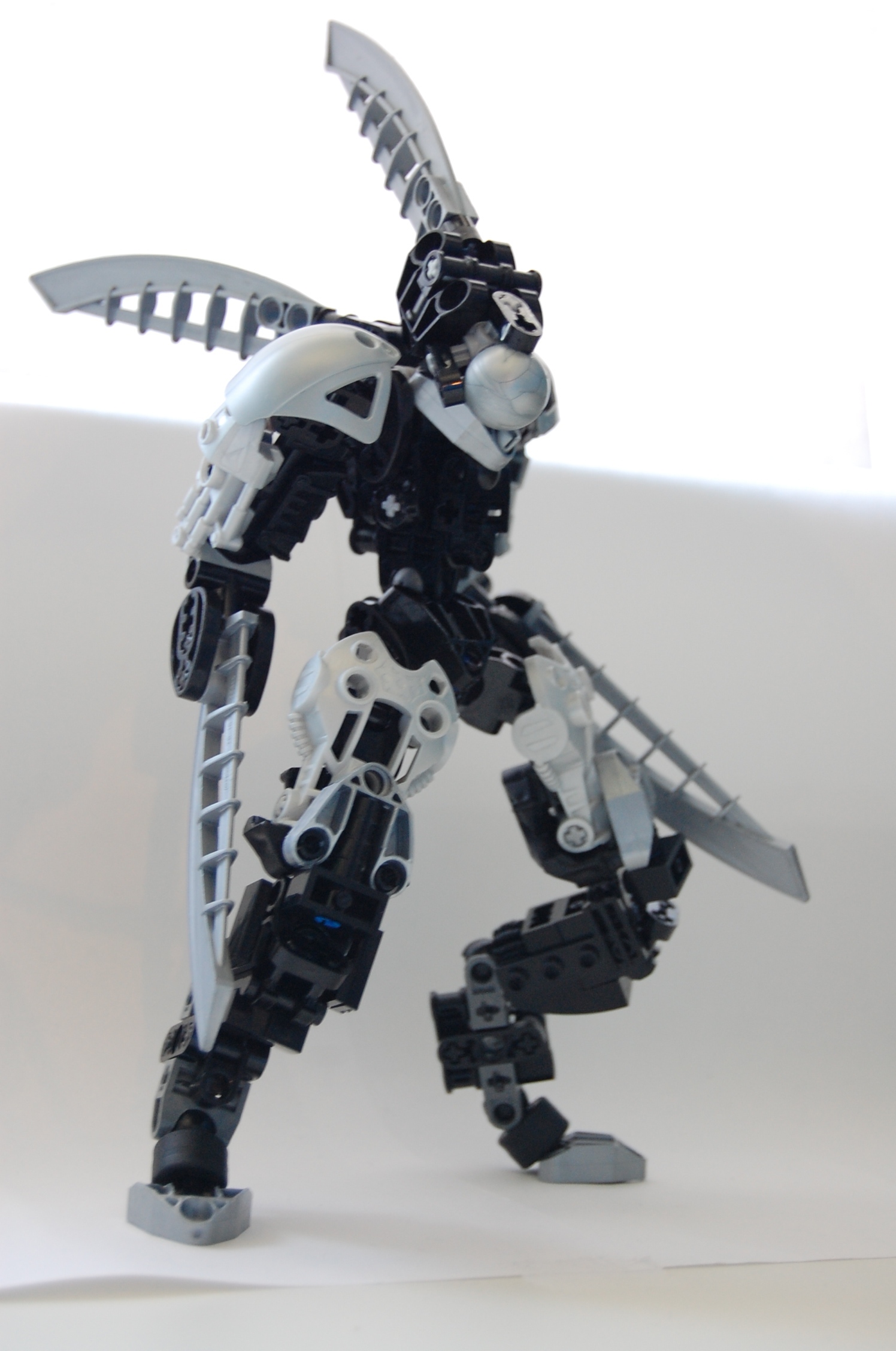 dsc_0761.jpg