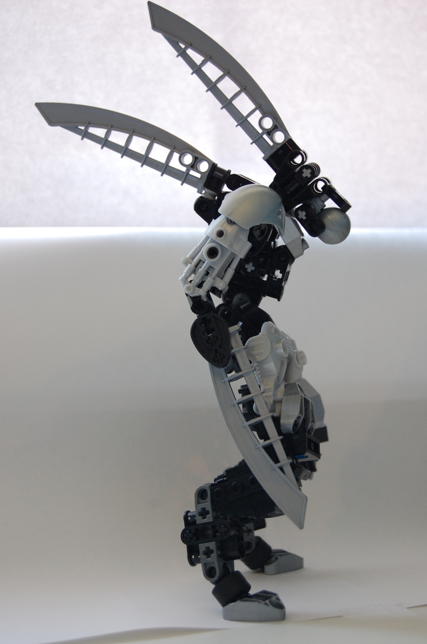 dsc_0764.jpg