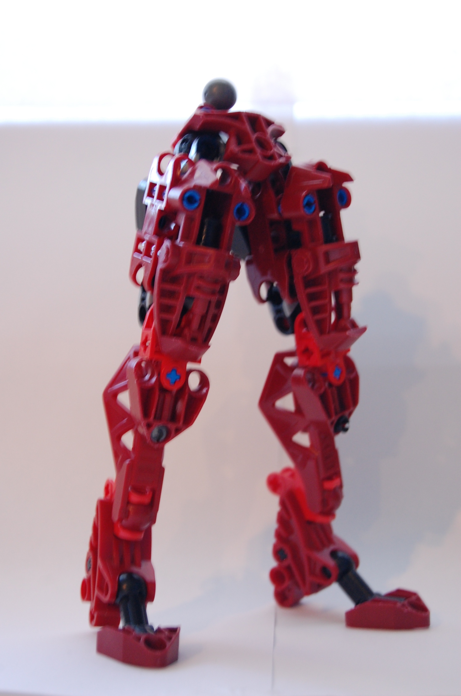 dsc_0681.jpg