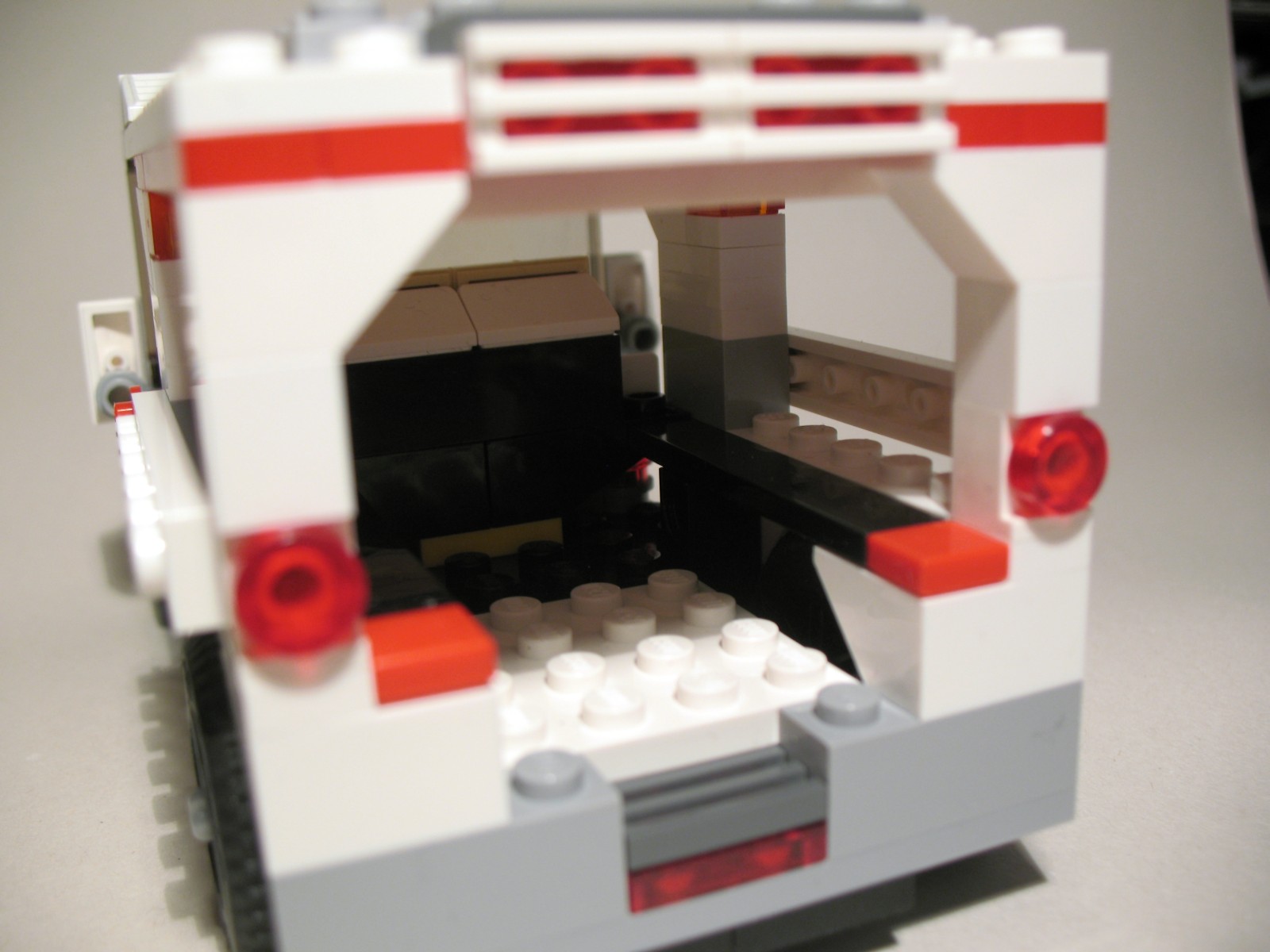 31006_zoobus_15.jpg