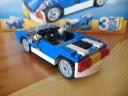 6913-sharky-04.jpg