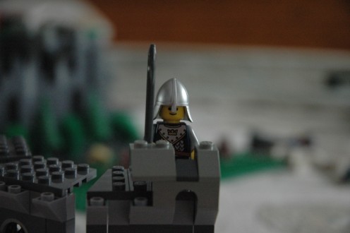castle_139_496_x_330.jpg