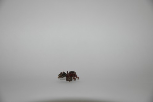 characters_g_ant.jpg