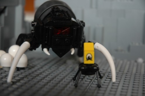 spider_thing_020_497_x_330.jpg