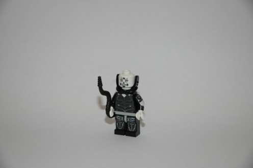 custom_yuuzhan_vong_002_496_x_330.jpg