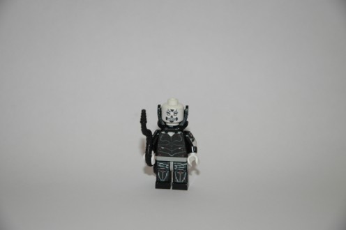 custom_yuuzhan_vong_005_496_x_330.jpg