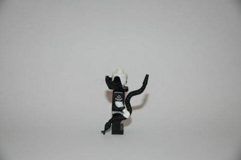 custom_yuuzhan_vong_006_496_x_330.jpg