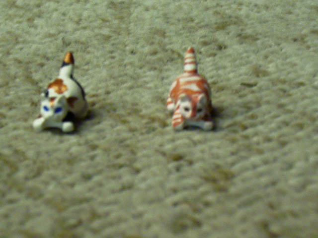 cats0003.jpg