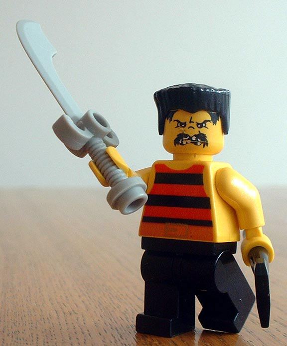 pirate.jpg