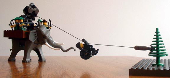 zipline.jpg