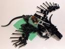 blackdragon02.jpg