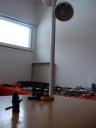 lonefalcon04.jpg