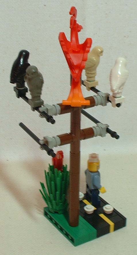birdpoo5.jpg