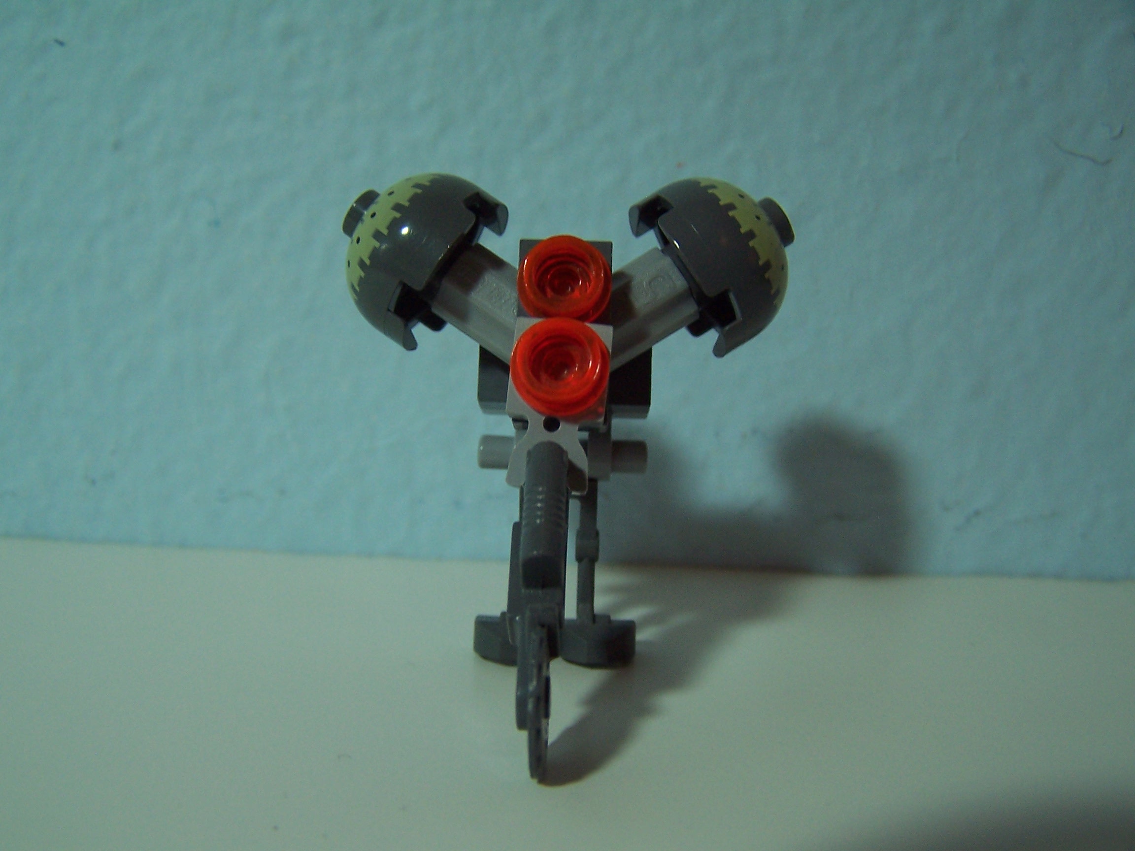 100_2134.jpg