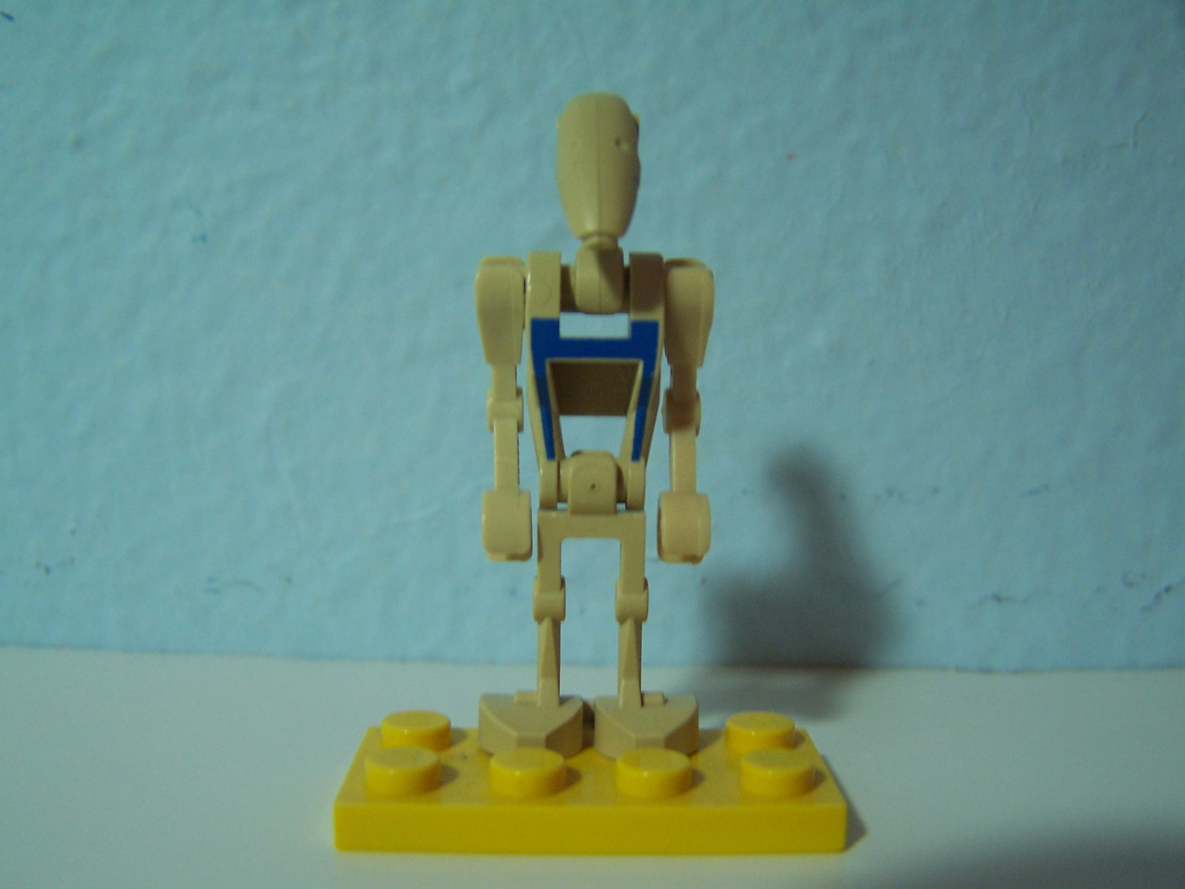 100_2142.jpg