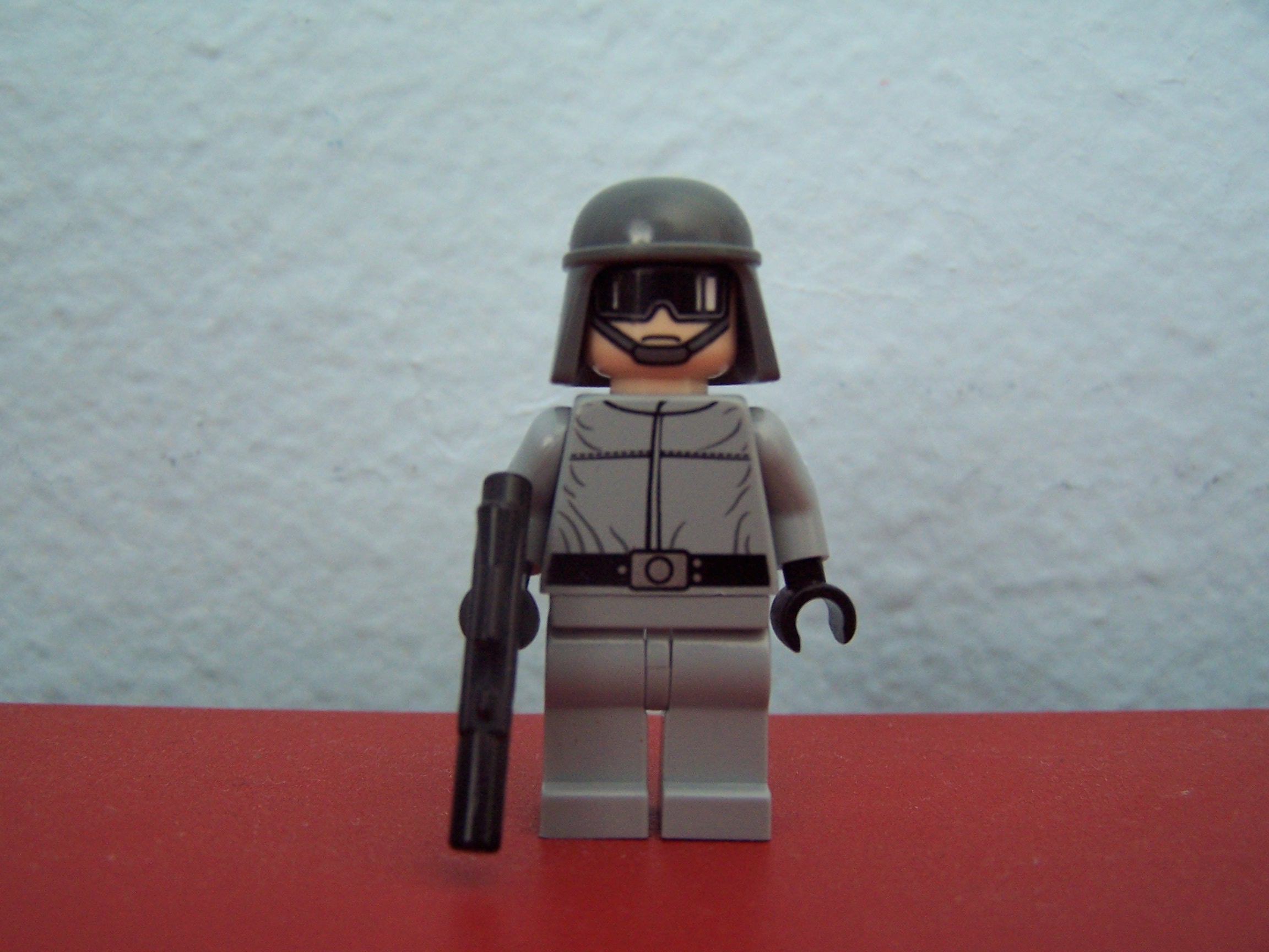100_2310.jpg