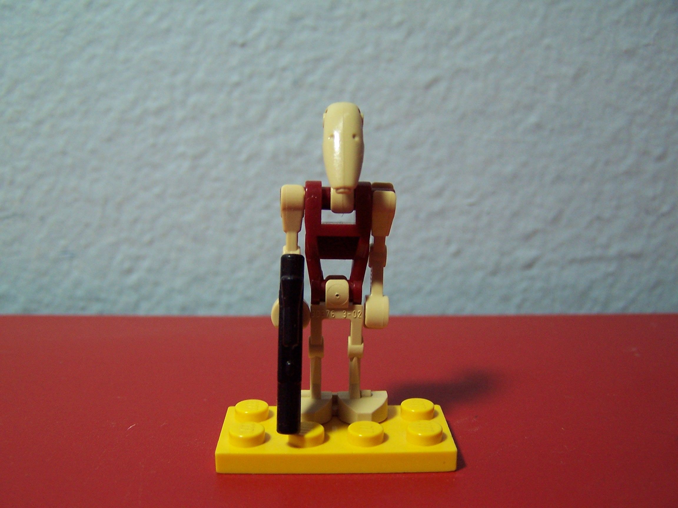 100_2517.jpg