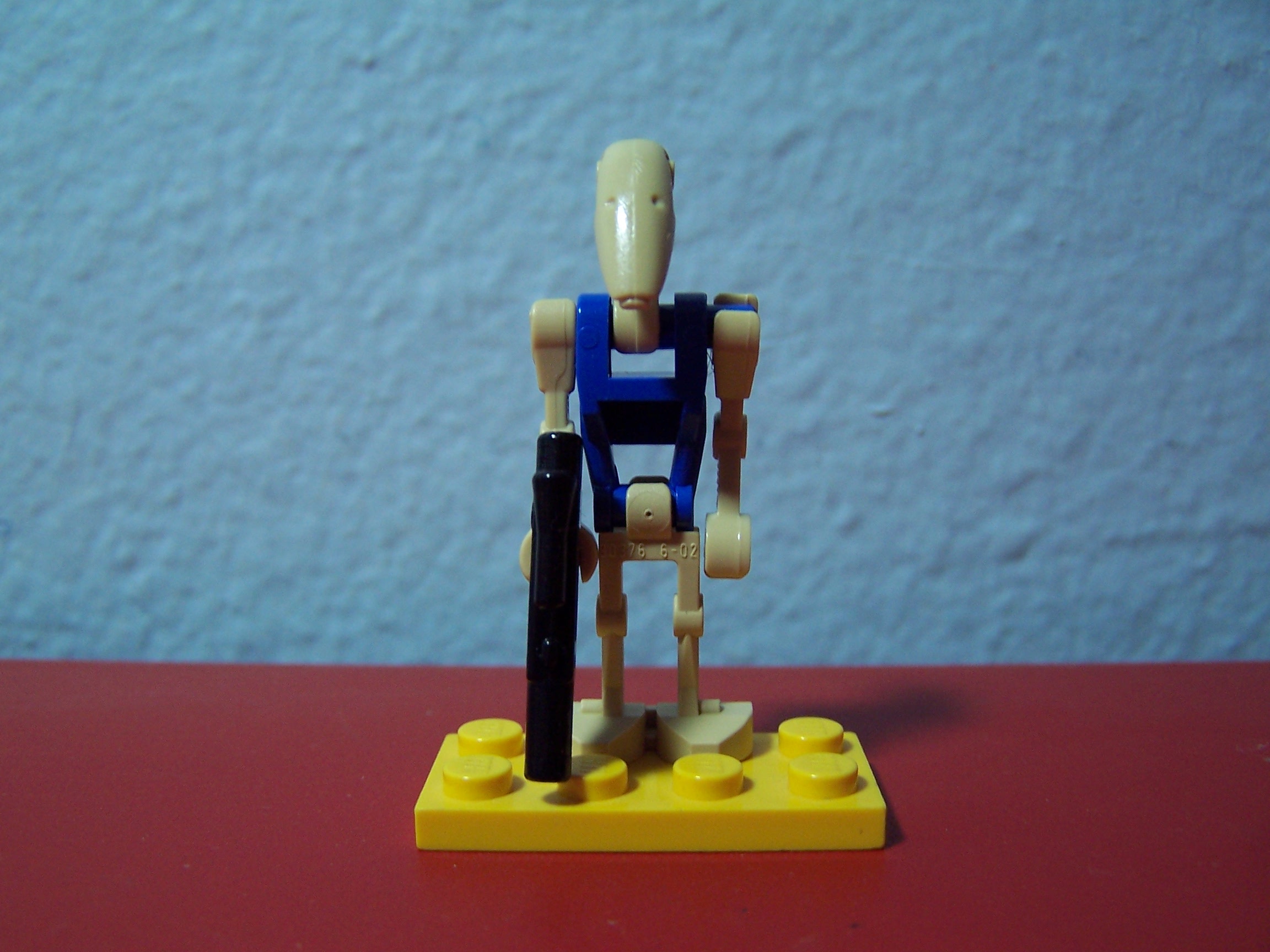 100_2519.jpg