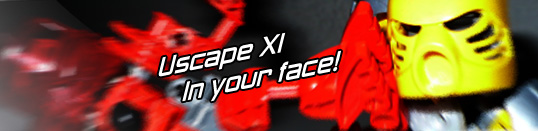 banniere_iyf.jpg
